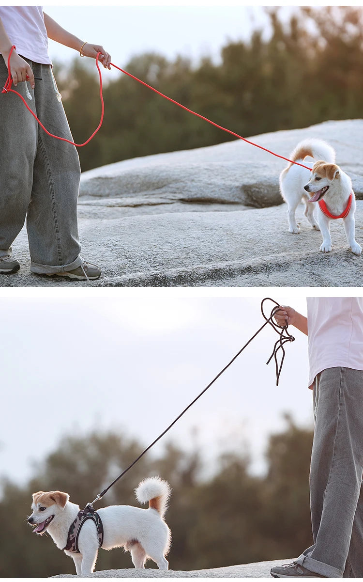 Reflective Outdoor Walking Harness Set