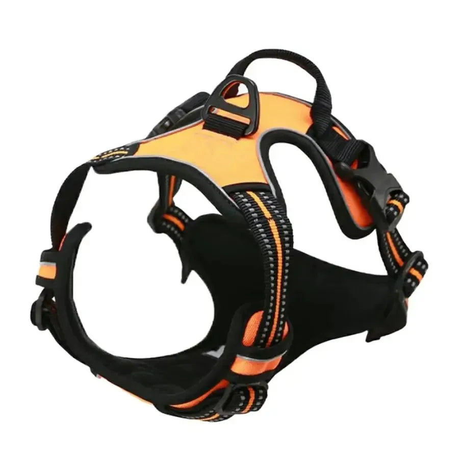 Complete Dog Collar Harness Set