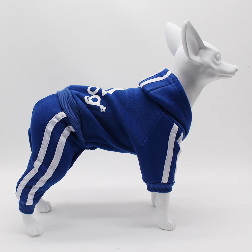 Comfortable Spring Dog Sports Suit