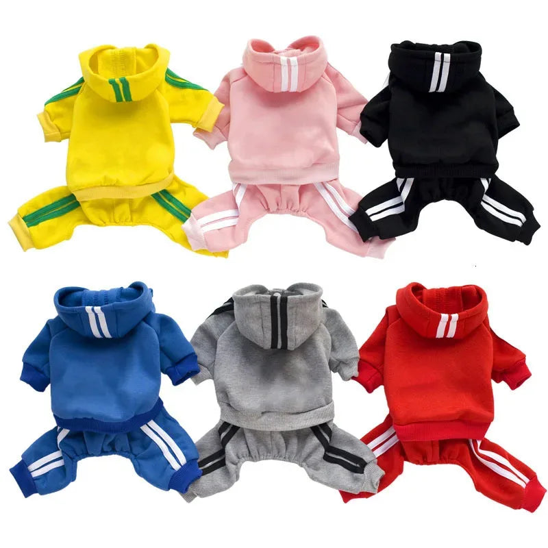 Comfortable Spring Dog Sports Suit