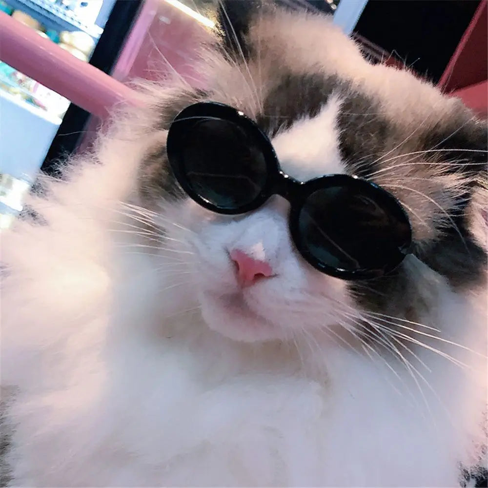 Doll Accessories Cool Photograph Props Pet Accessories Small Dog Cat Glasses Round Frames Glasses Pet Eyeglasses Dog Sunglasses