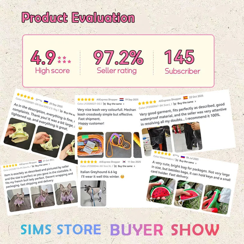 Dog 2-in-1 Interactive Toy Pet Automatic Food Treat Dispenser Cartoon Duck Design Slow Food Pet Snack Feeder for Dog Training