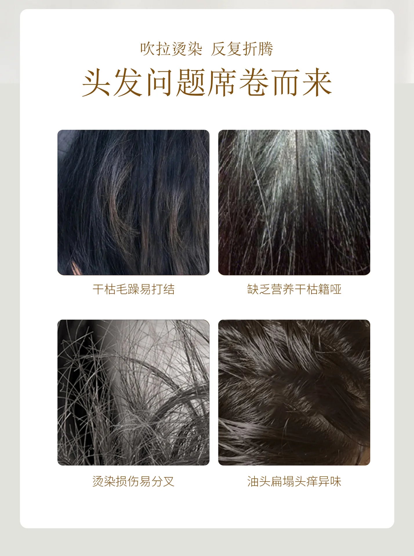 Honey Nourish Hair Shampoo Conditioner