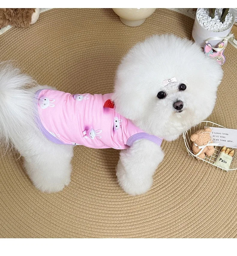 Spring pet apparel: cat & dog clothing - cartoon 3d print, teddy style, cute & breathable, anti-shedding, dropshipping available