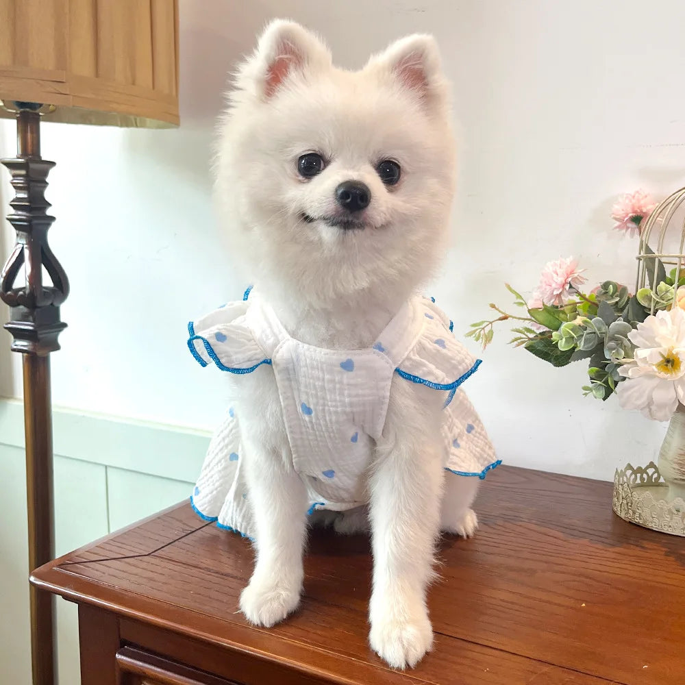 Sweet Cotton Pet Skirt Dress