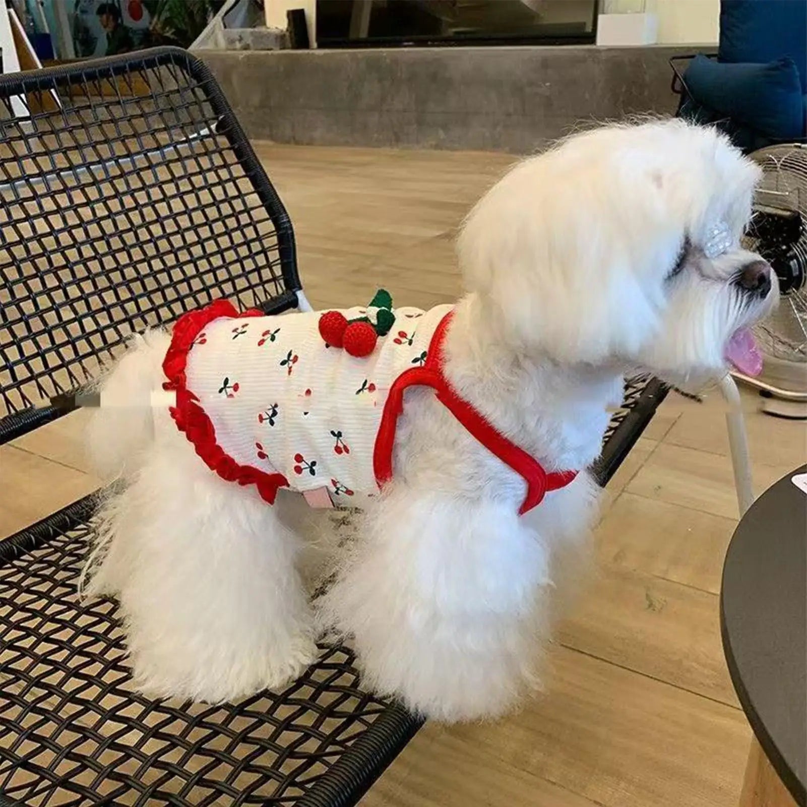 Breathable Cotton Puppy Vest Outfit