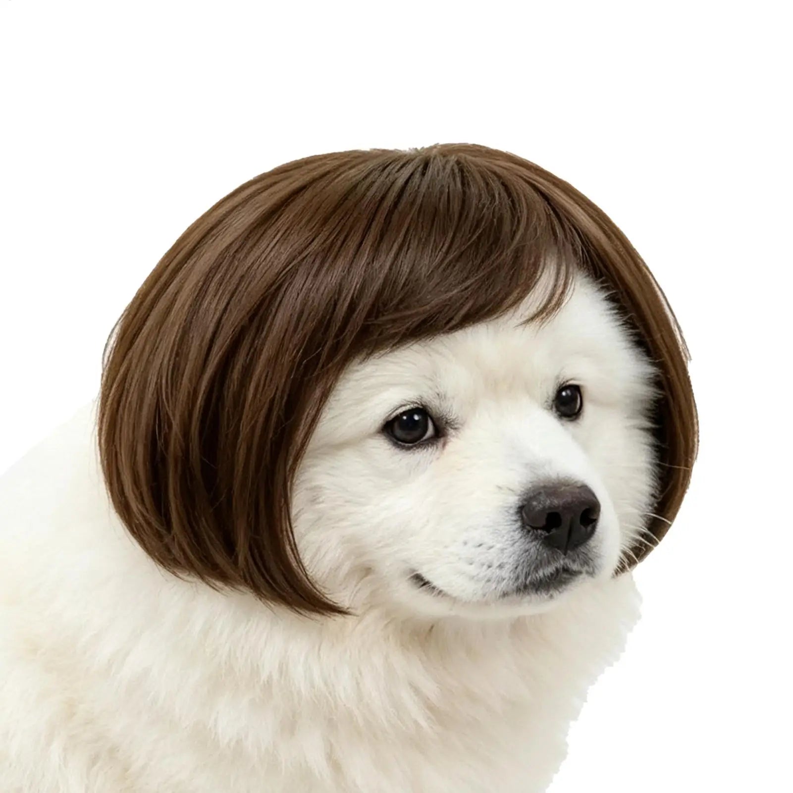 Pet Wig Accessories Dog Headdress Funny Costume Puppy Cosplay Dress Up Cute Pet Wig Cosplay Funny Props Head Accessories