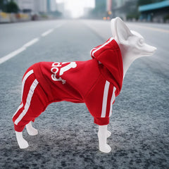 Comfortable Spring Dog Sports Suit