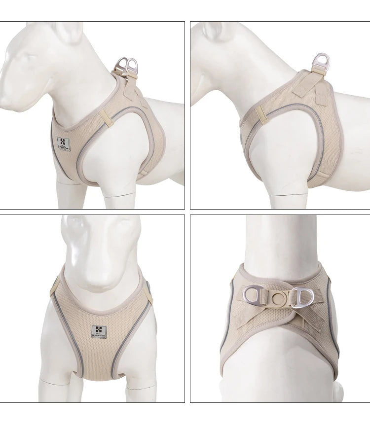 Reflective Outdoor Walking Harness Set
