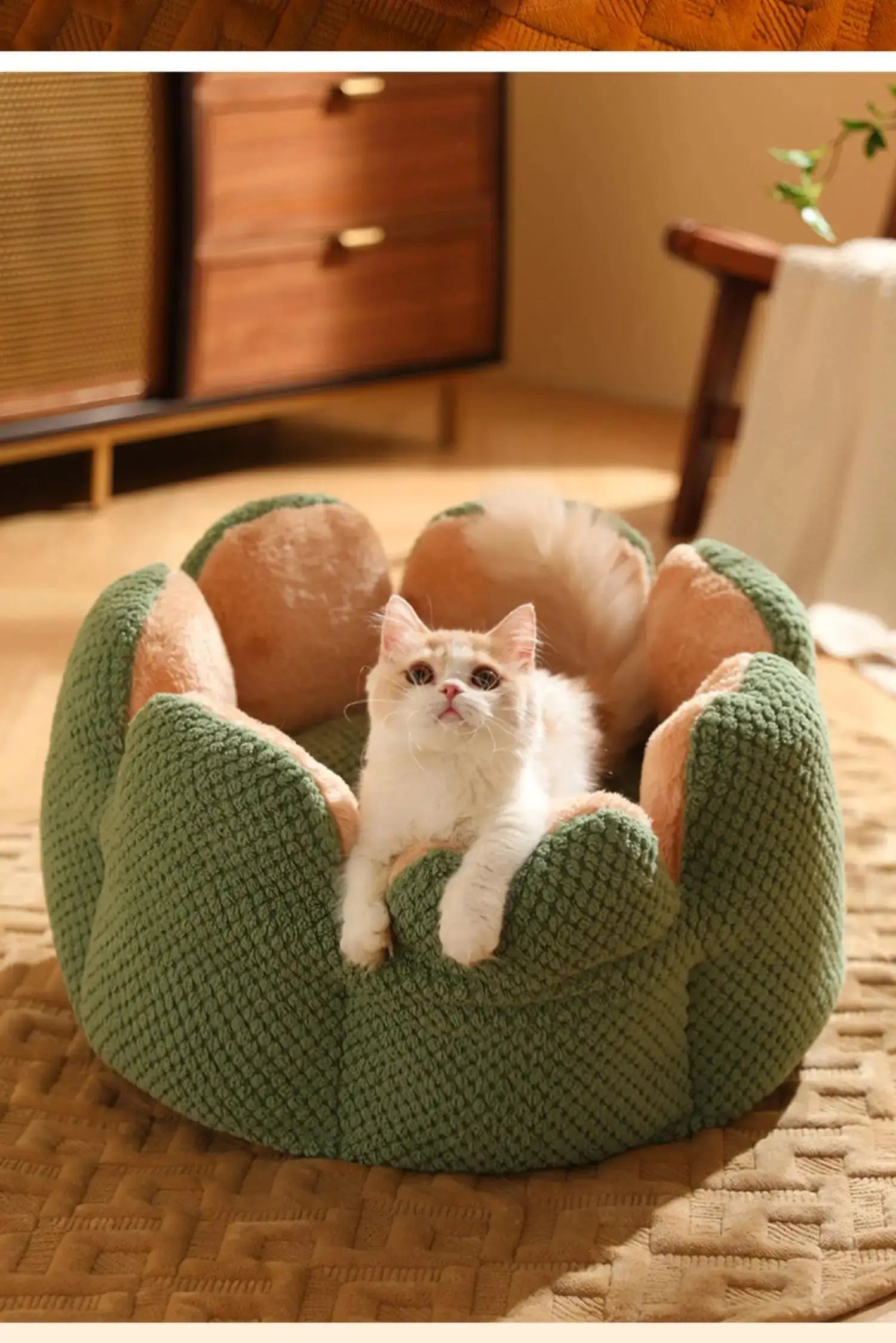 Petal Shaped Pet Bed, Plush Round Dog & Cat Cushion Mat with Knitted Texture, Ultra Soft Warm Nest for Kittens Puppies in Winter