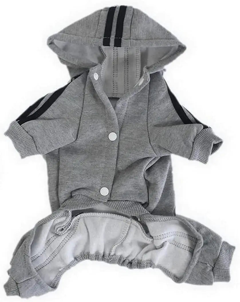 Comfortable Spring Dog Sports Suit