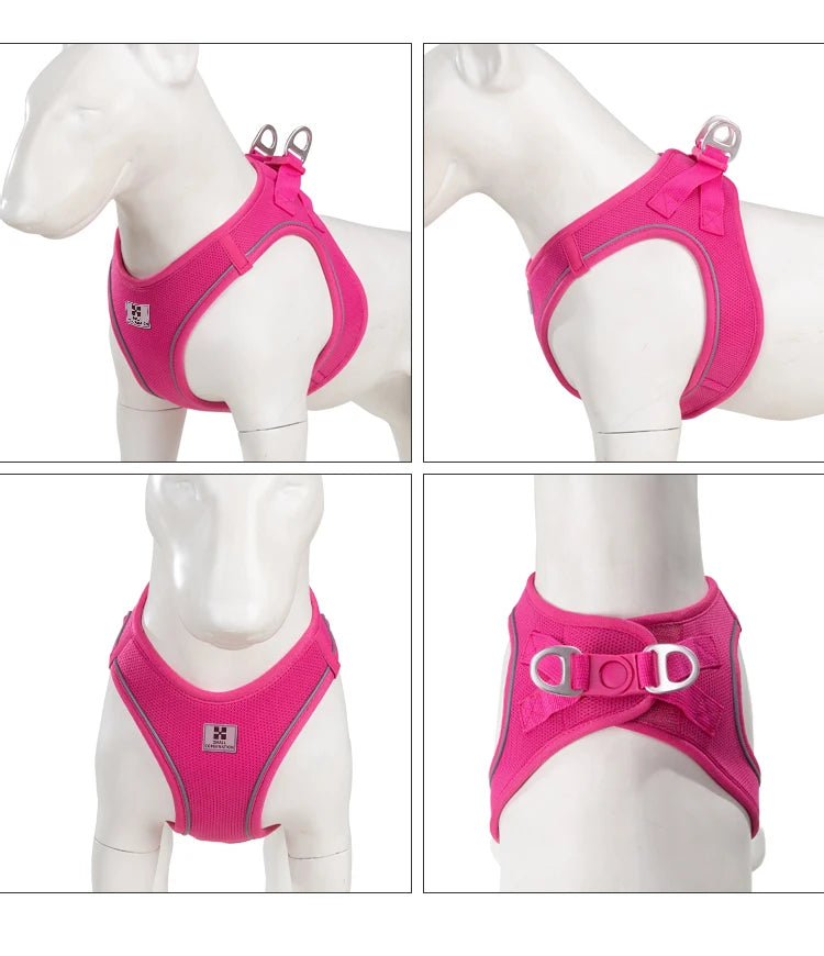 Reflective Outdoor Walking Harness Set