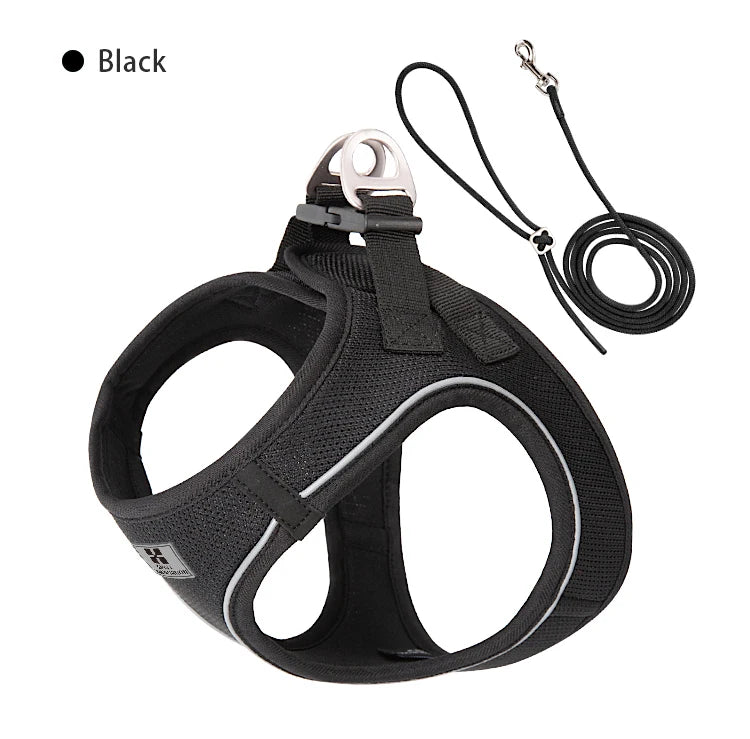 Reflective Outdoor Walking Harness Set