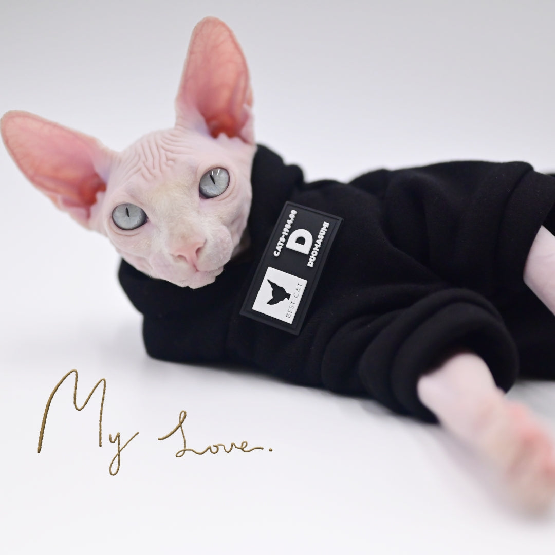 Hairless Cat Fashion Pullover Hoodie