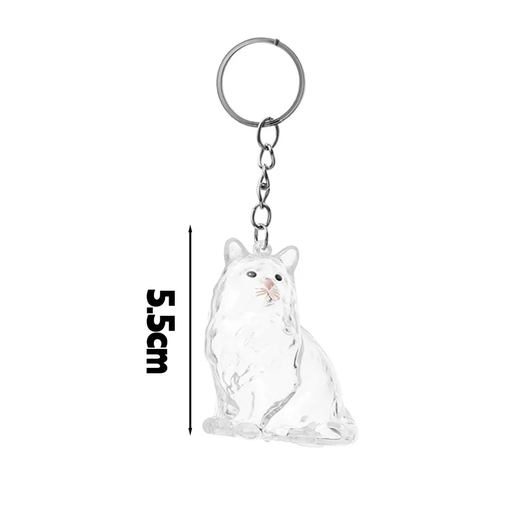 New Cat Hair Storage Keychain Bag Pendant Transparent Pet Fur Keepsake Capsule Souvenir Collection Gift Decoration Accessories
