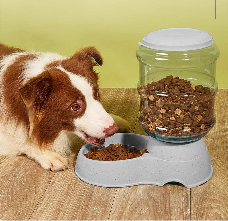 Cat and Dog Feeders Pet Water Dispensers Large Water Storage Capacity Dispensers Pet Automatic Water Dispensers Anti Knock