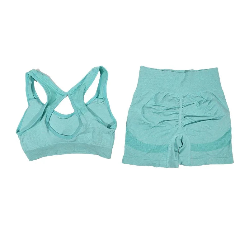 2Pcs Women Yoga Outfit Set Sports Fitness Vest Running Workout Shorts Suit Gym Training Active Wear Handmade Accessory