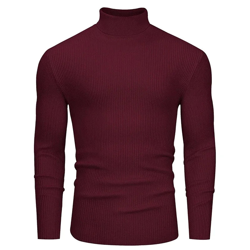Slim Fit Turtleneck Knit Pullover
