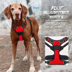 Complete Dog Collar Harness Set