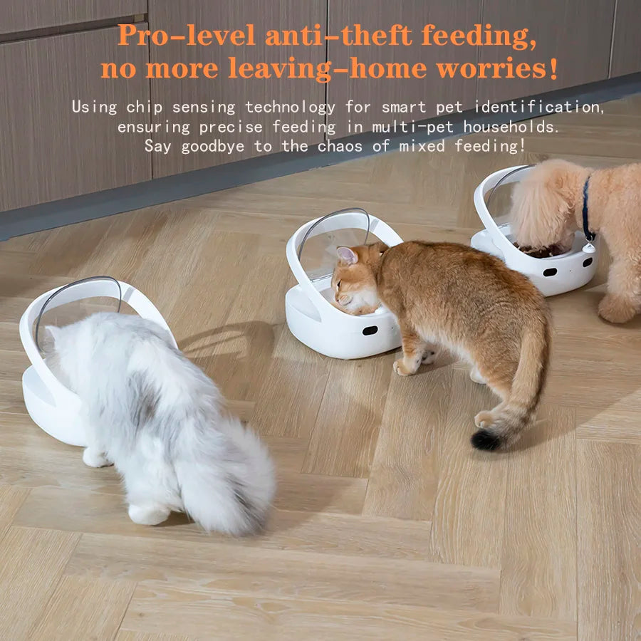 New Petoneer NutriCare Feeder Tailored For Multi-Pet Households Pet feeder Cat And Dog Feeder With App