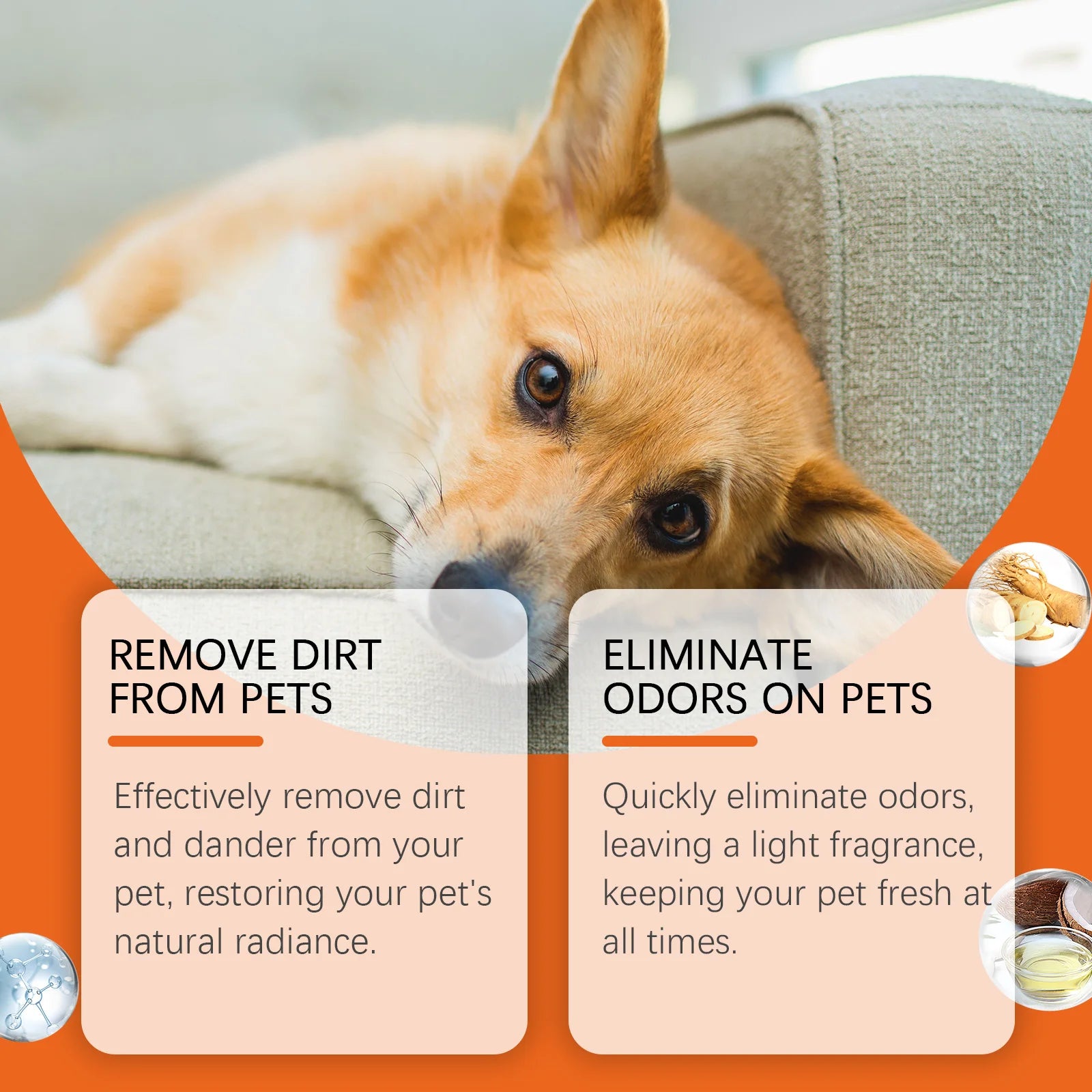 Skin-Friendly Tear Stain Wipes