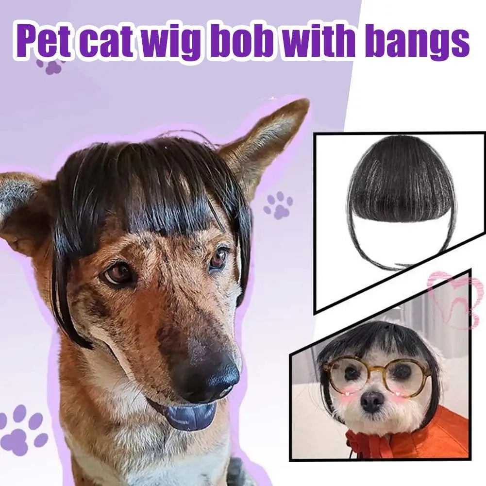 Cat Wig Accessories Dog Headdress Funny Costume Puppy Cosplay Dress Up Cute Pet Wig Cosplay Funny Props Puppy Costumes Supplies