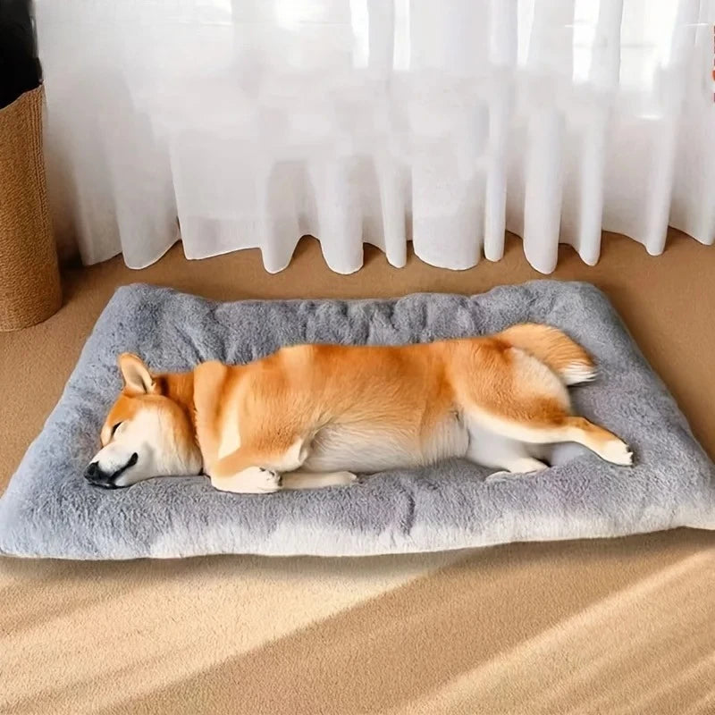 Thickened Super Soft Plush Sofa Bed