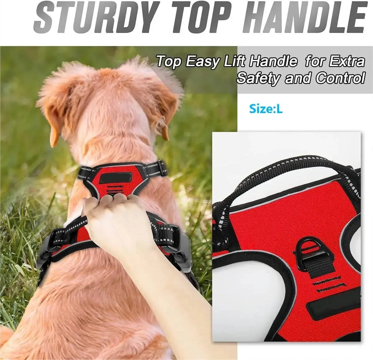 Complete Dog Collar Harness Set
