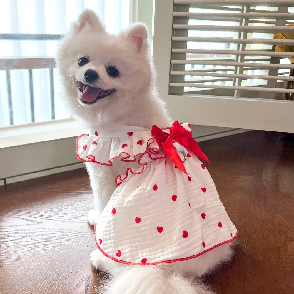 Sweet Cotton Pet Skirt Dress