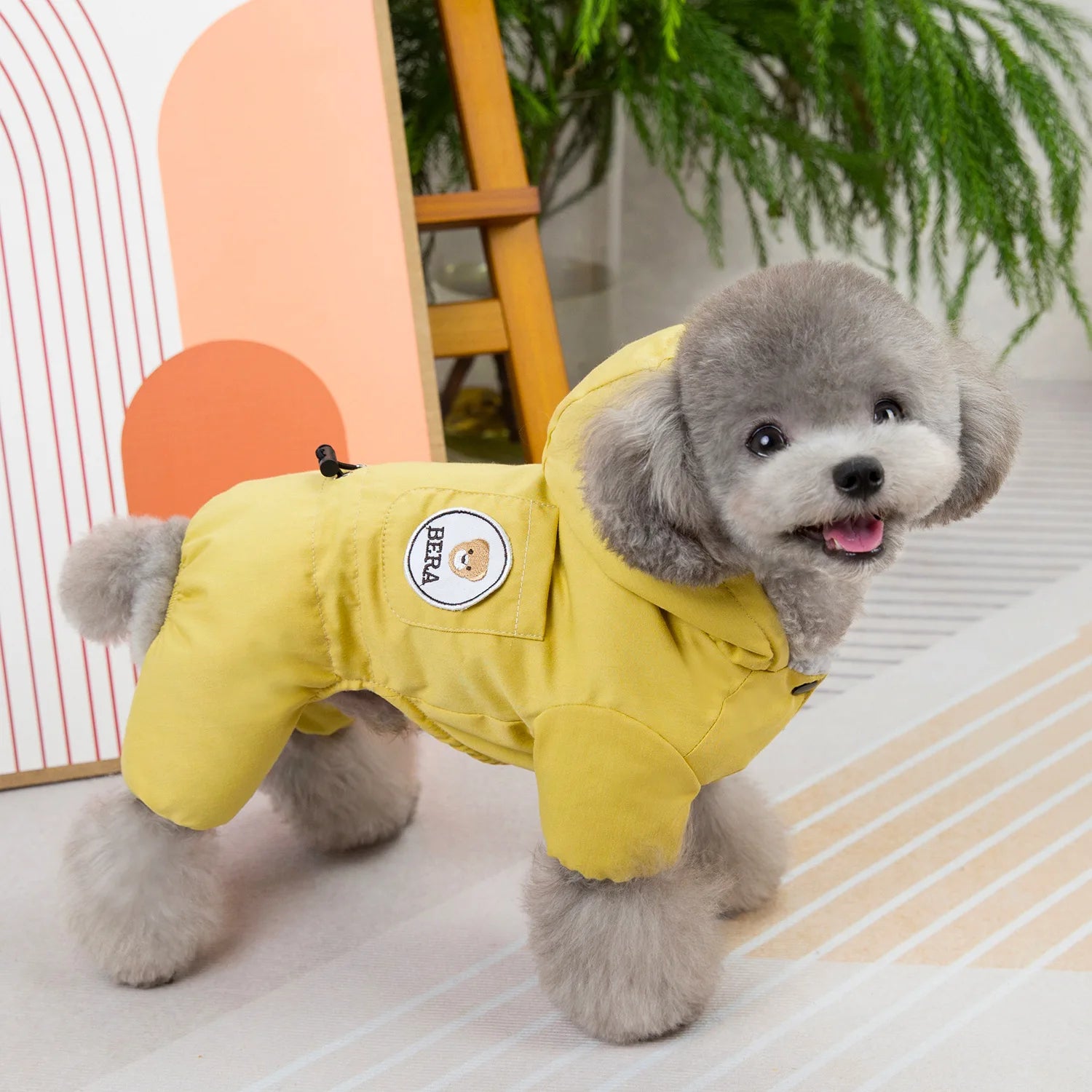 Pet clothes pet dog dog fotton-padded coat autumn and winter new pet clothing 24 college four-legged cotton-padded coat