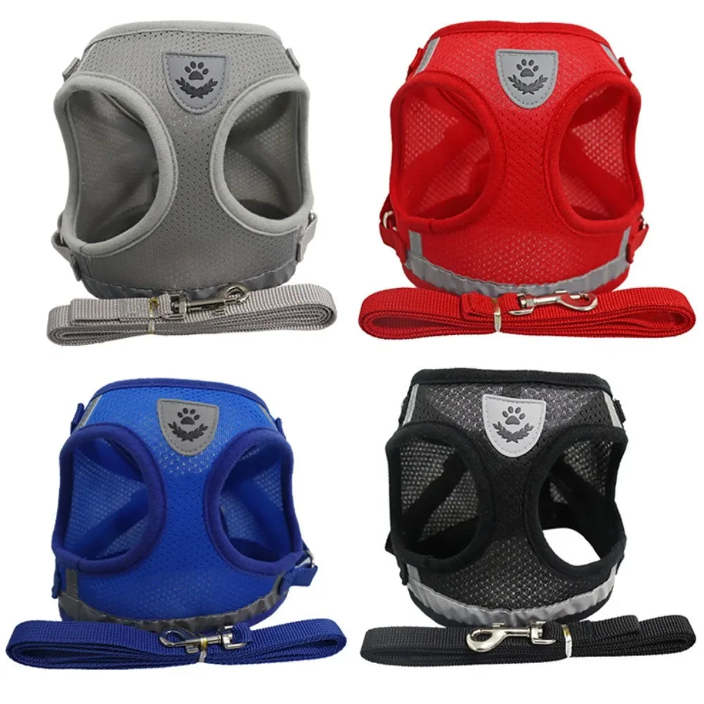 Escape-Proof Mesh Cat Harness Set