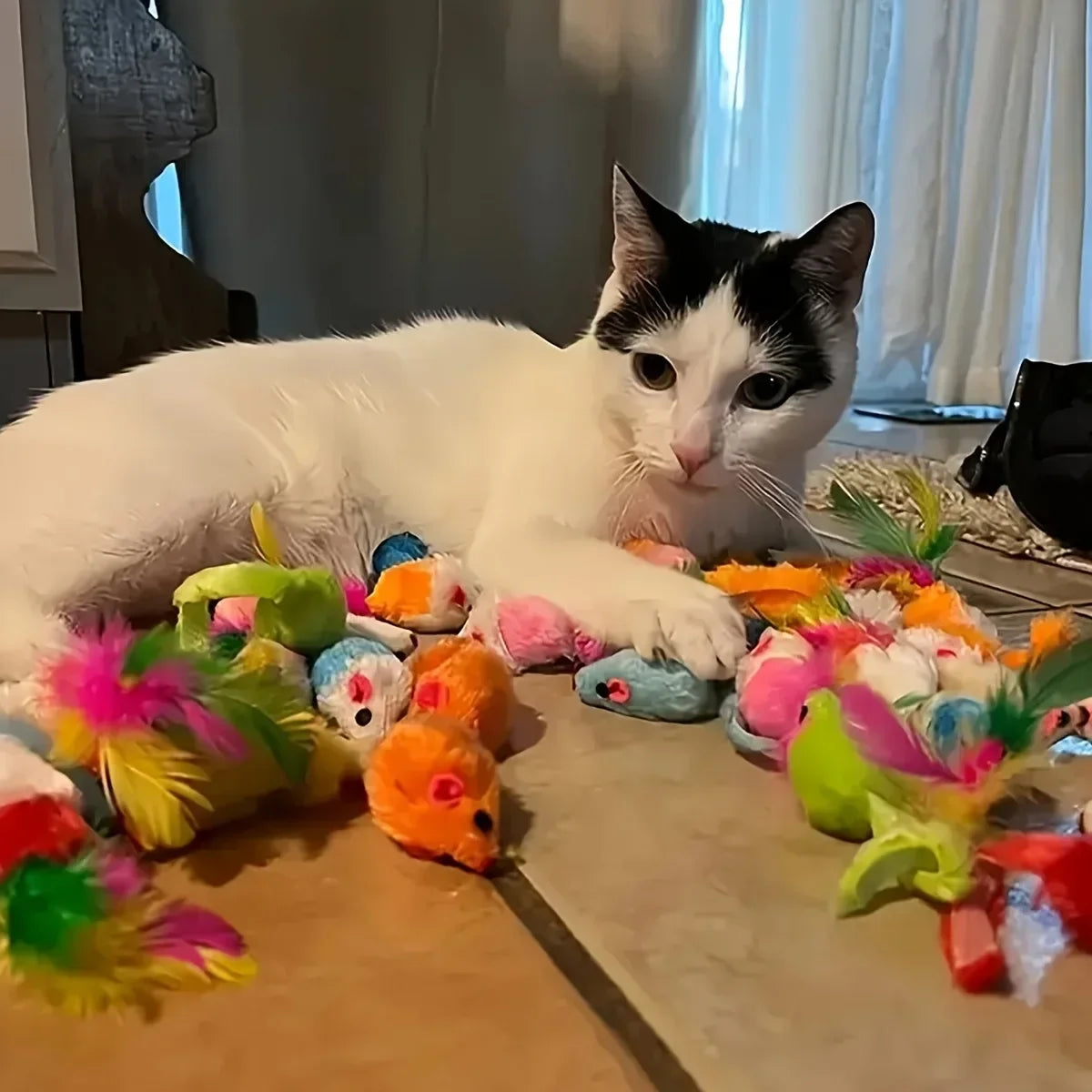 Mixed Pack Multi-Cat Toy Bundle