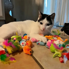 Mixed Pack Multi-Cat Toy Bundle