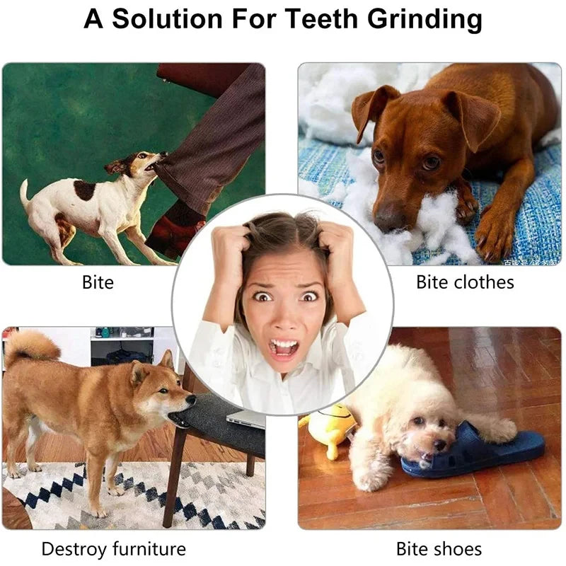 Nontoxic Bite Resistant Treat Ball