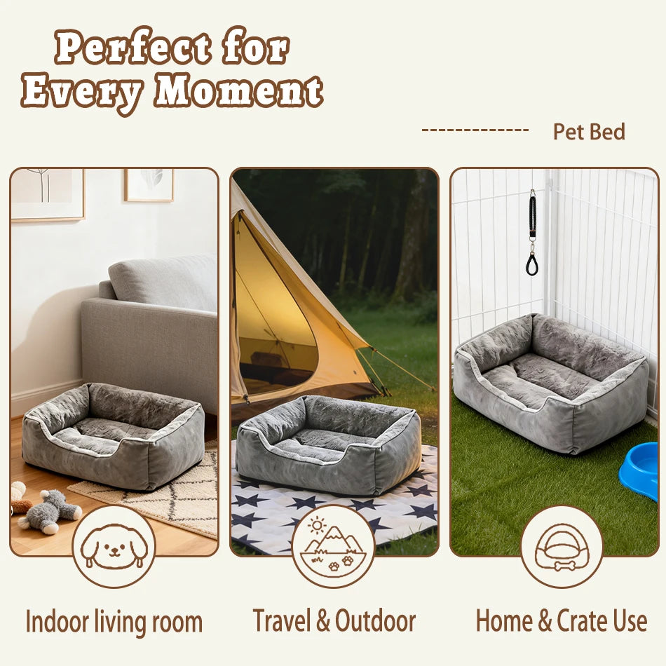 Bed for Cats Pet Products Cushions Kitten Winter Accessories Dog All Houses Supplies Things Accessory Habitats Basket House Beds