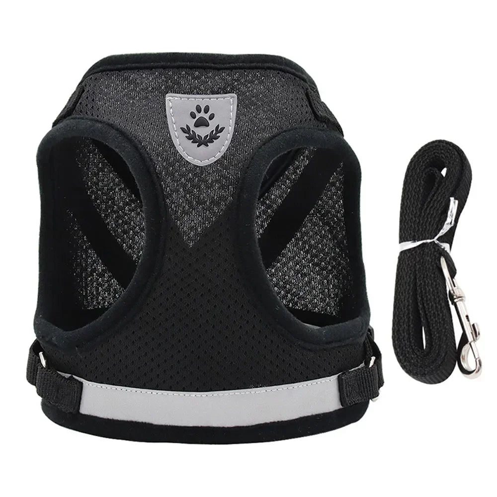 Escape-Proof Mesh Cat Harness Set