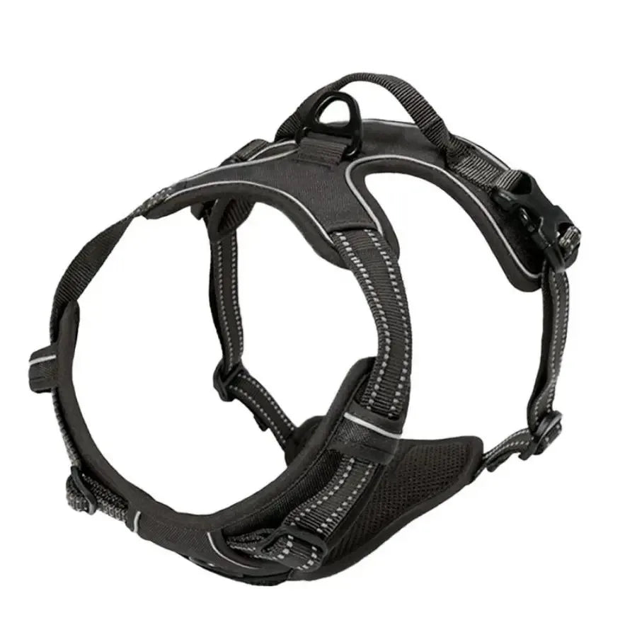 Complete Dog Collar Harness Set
