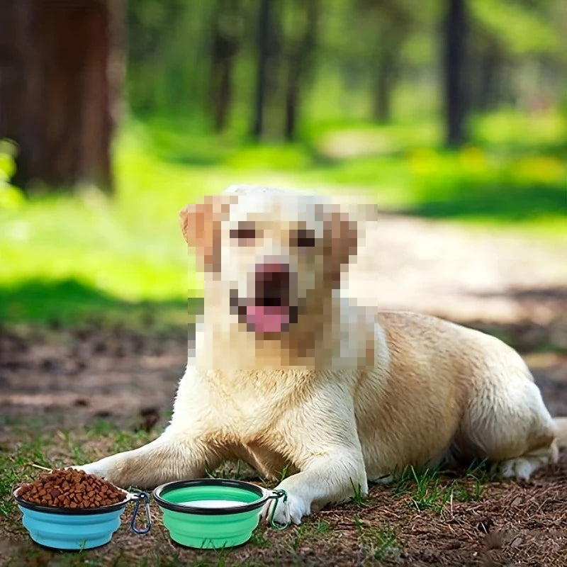 Collapsible Lidded Travel Water Dish